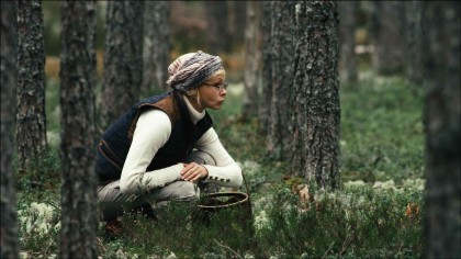 Seenelkäik