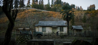 Tangerines_House